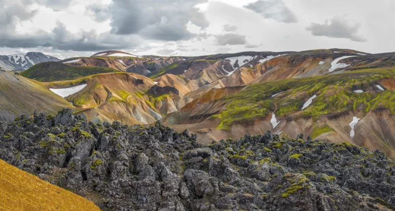 South Coast Sightseeing